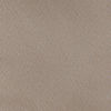 Beige Blended Rayon Jodhpuri Suit with Embellishment
